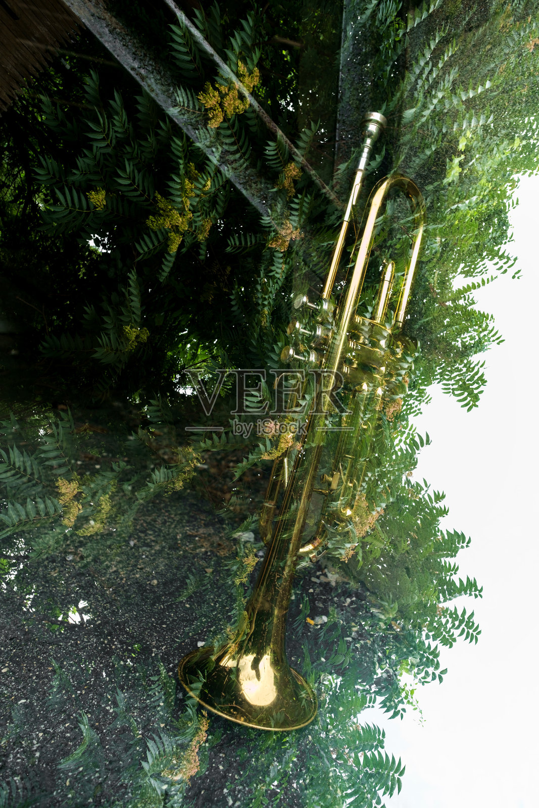 双重曝光大自然小号照片摄影图片