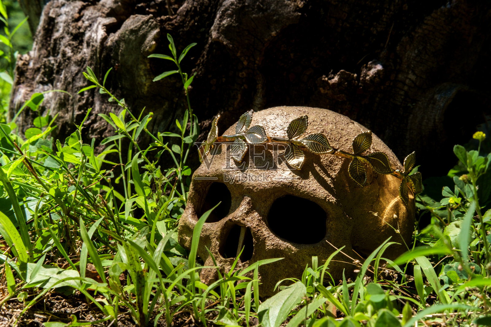 头骨女王王冠照片摄影图片