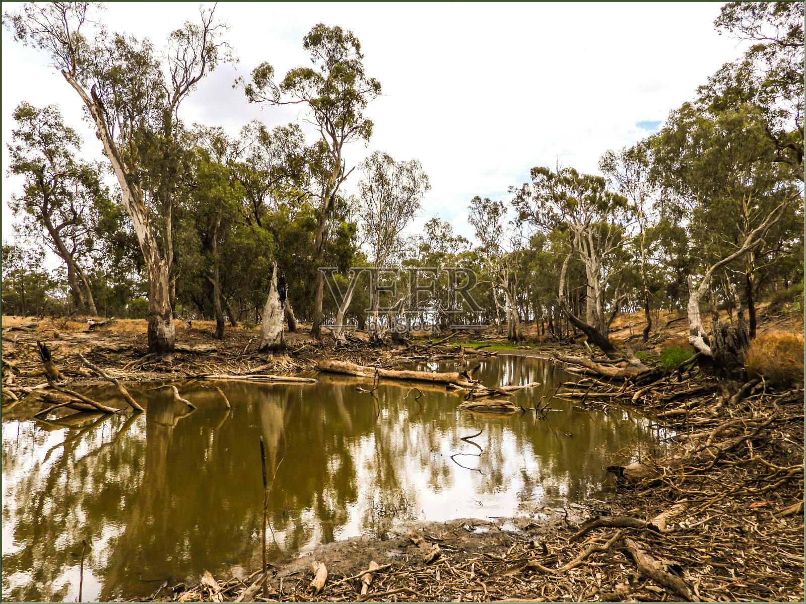 莫伊拉低照片摄影图片