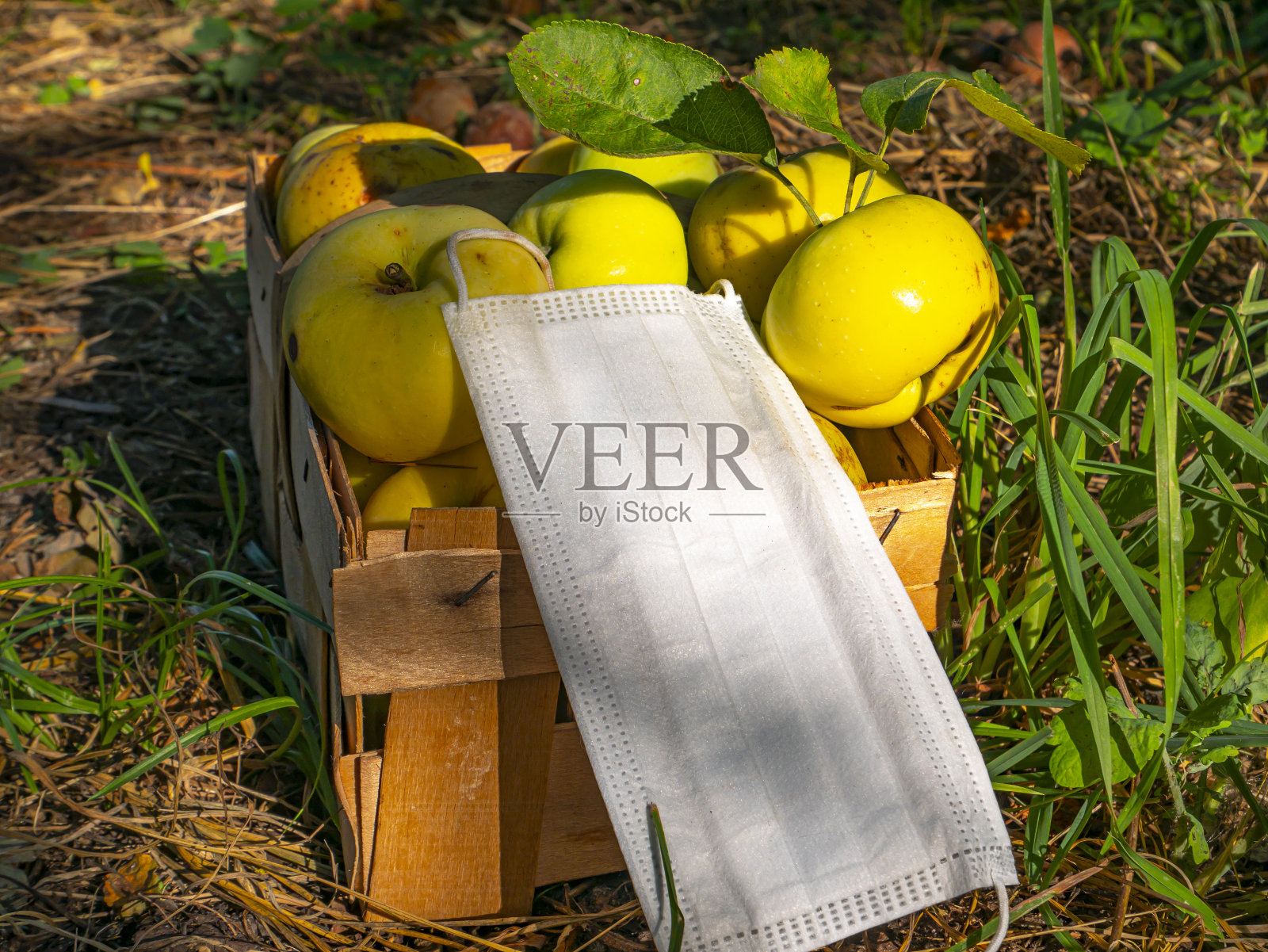 水果苹果和医用口罩。照片摄影图片