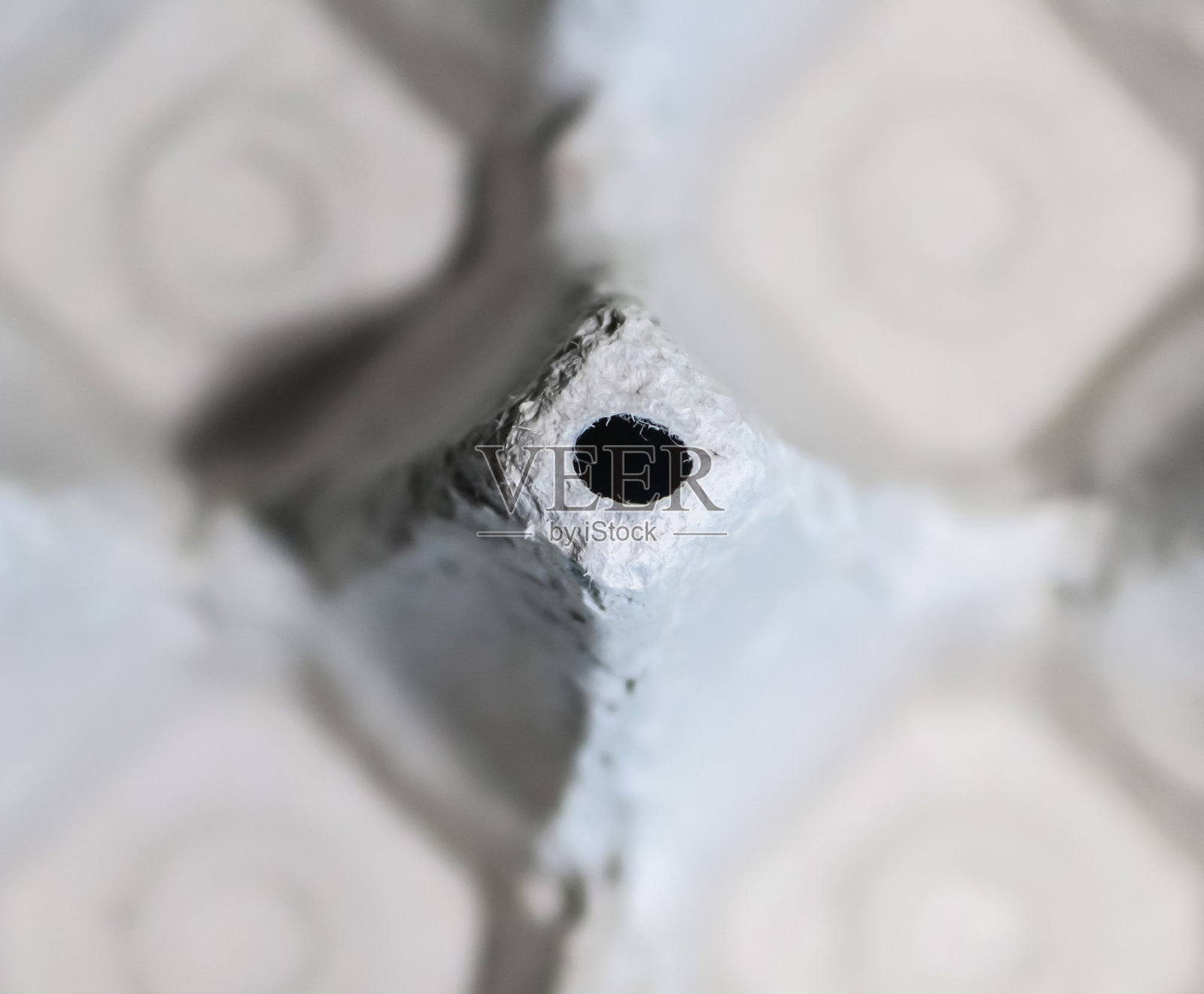 近距离观看白色纸板包装的鸡蛋照片摄影图片