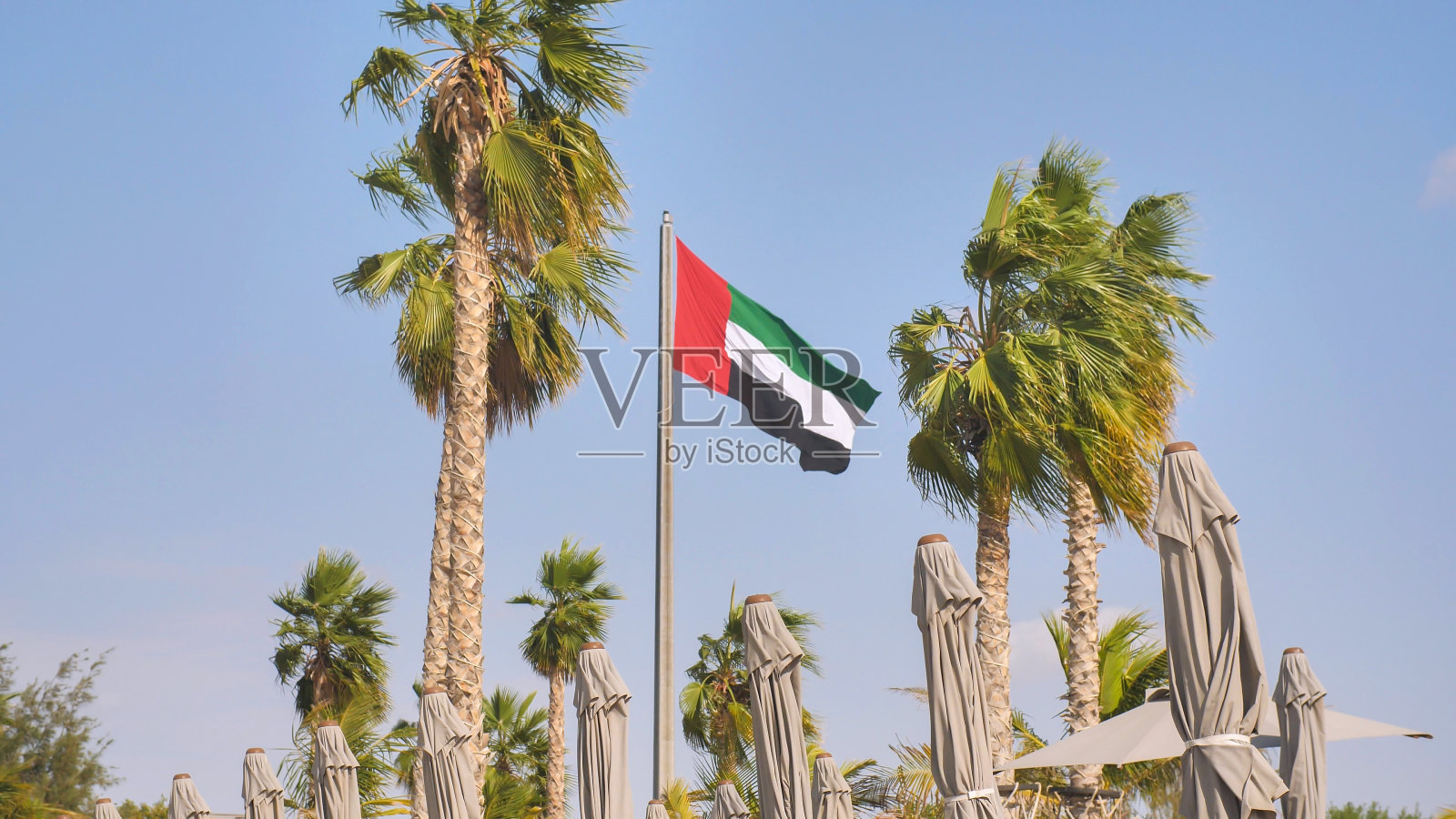 棕榈树海滩背景上的阿拉伯联合酋长国国旗照片摄影图片