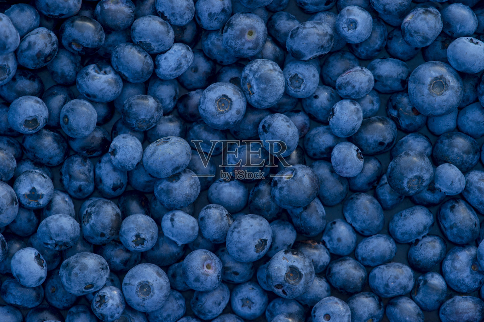 新鲜蓝莓背景。近距离观察蓝莓的质地。纯素和素食的概念照片摄影图片