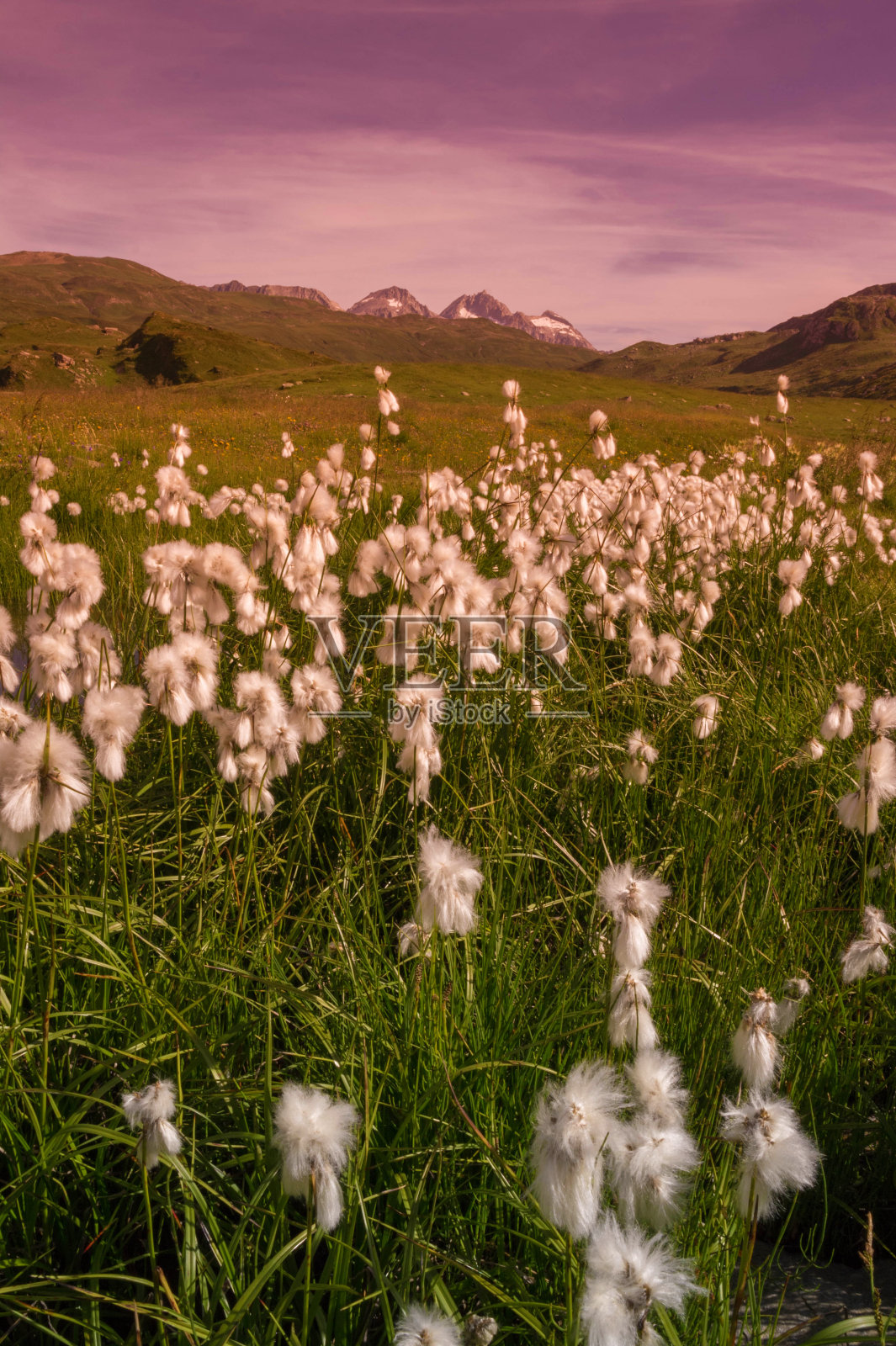 景观照片摄影图片