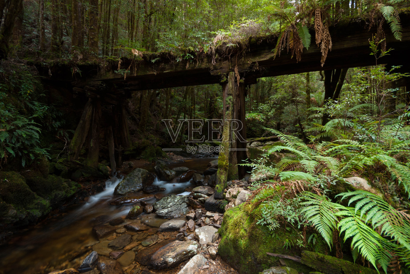废弃的铁路桥梁照片摄影图片