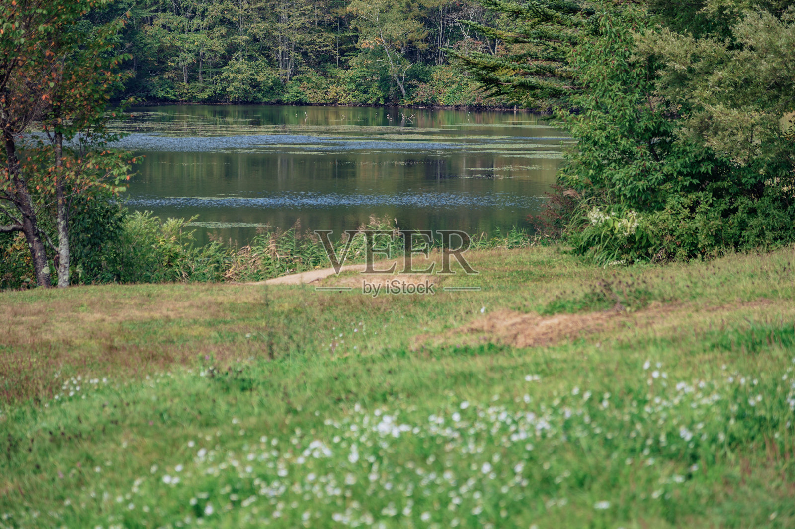 Kagami磅照片摄影图片