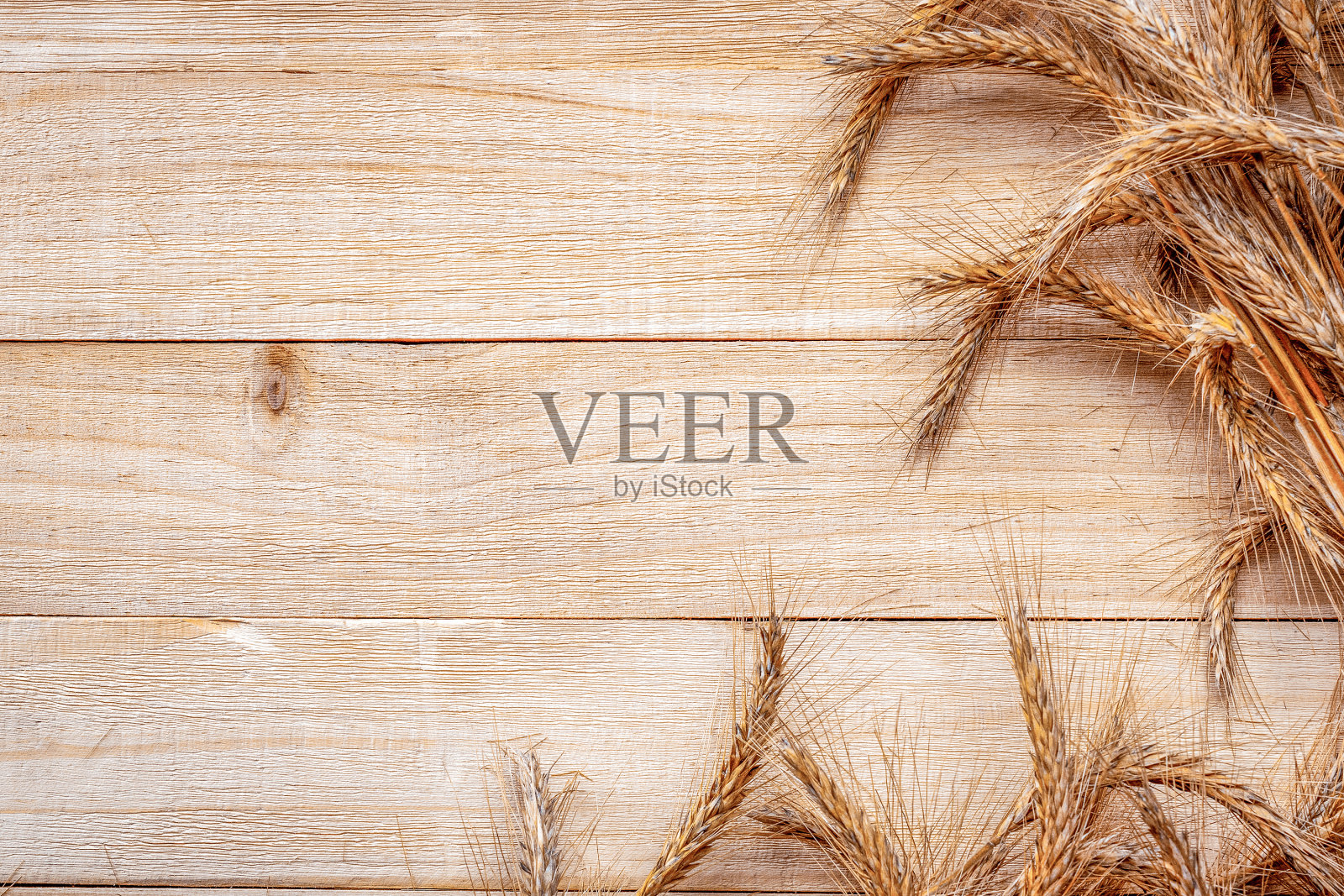 黑麦草。整个,大麦,收获的小麦芽。小麦谷穗或黑麦穗状植物木质纹理或褐色的天然有机背景,为面包粉谷类。设计的元素。照片摄影图片