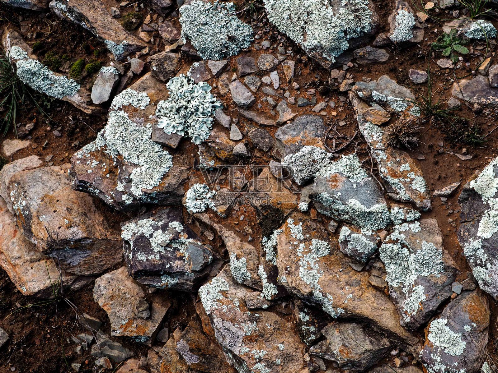 岩石和苔藓与污垢在澳大利亚的特写照片摄影图片