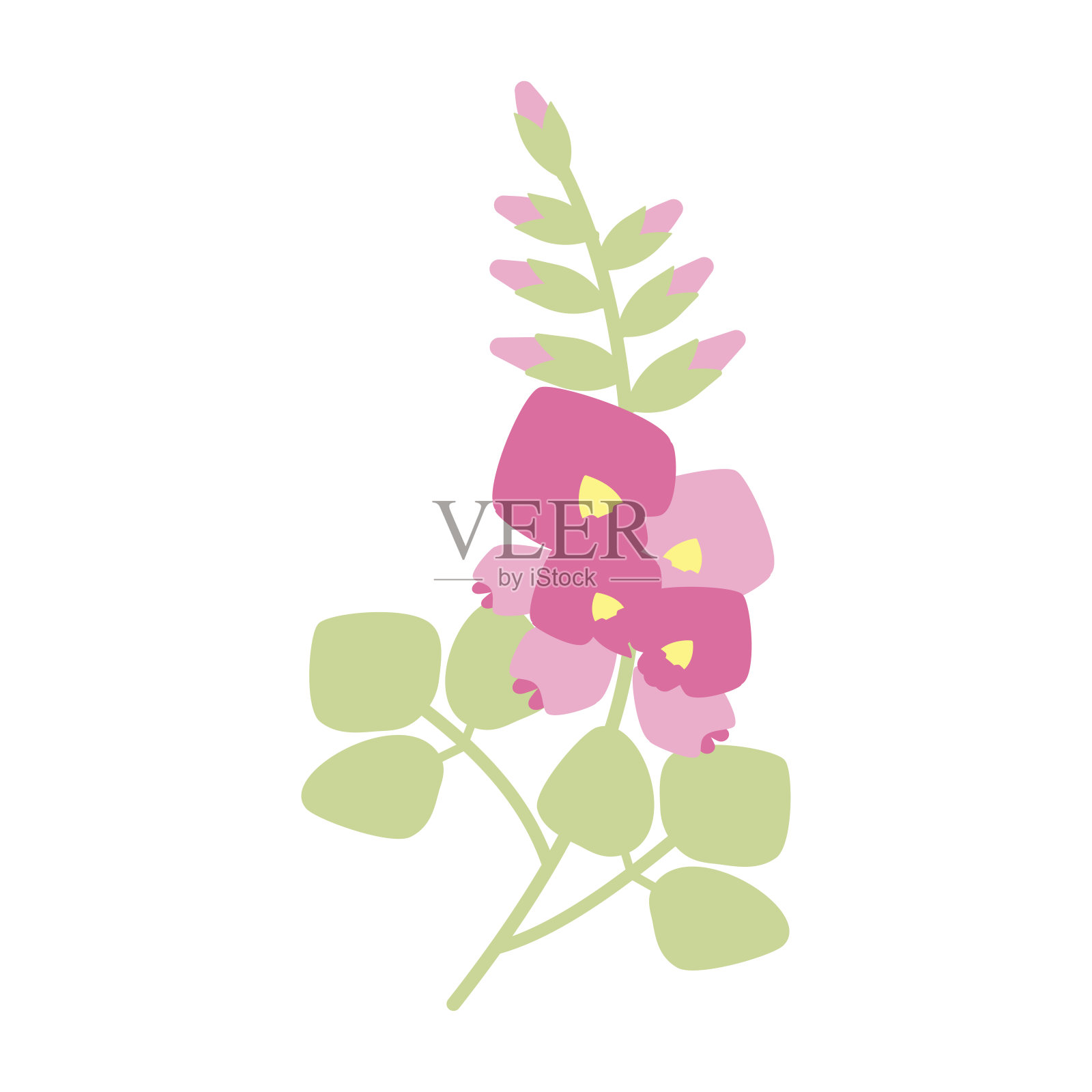 葛藤(秋药)病媒简图插画图片素材