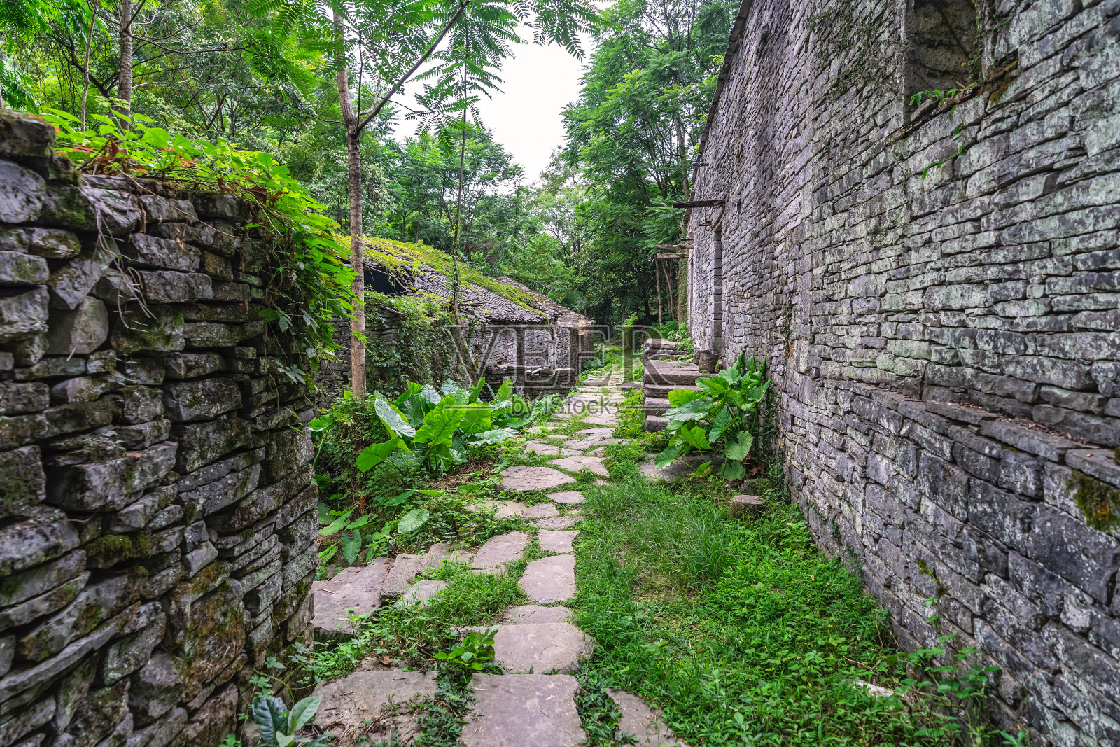 中国被遗弃的丛林村庄的废墟照片摄影图片