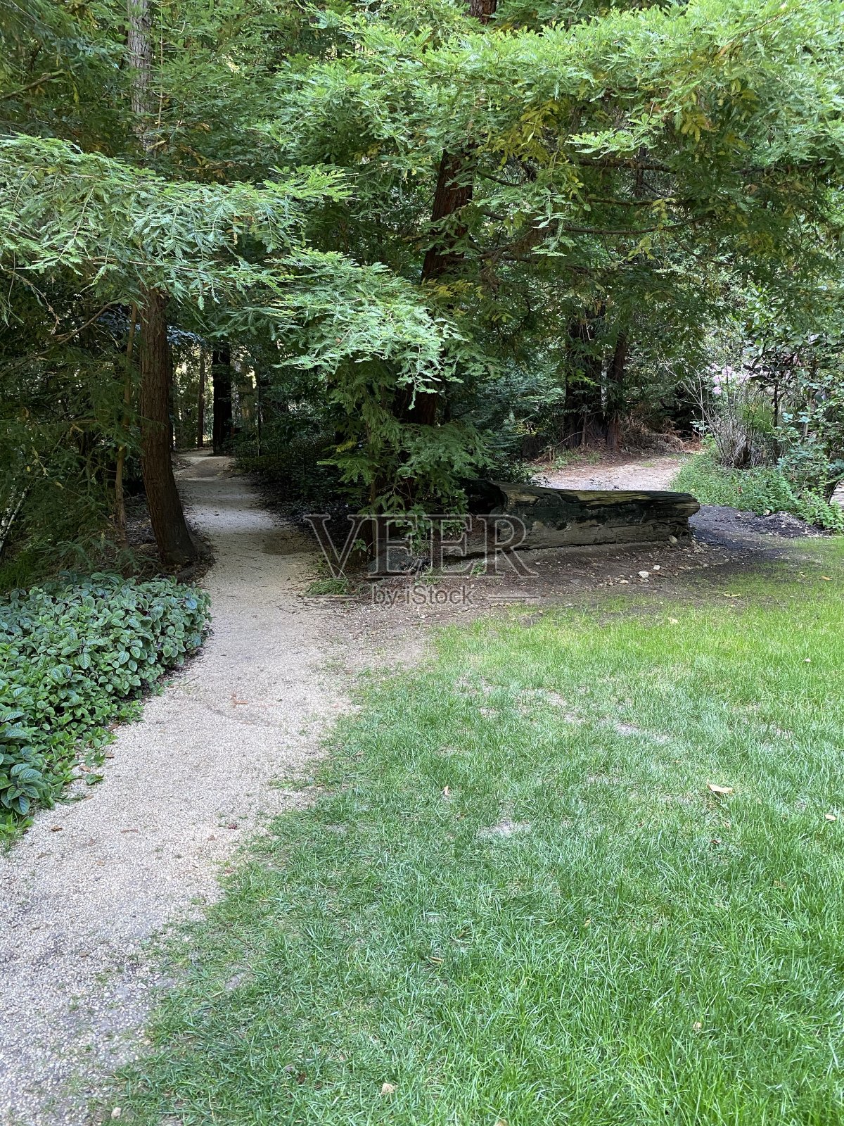 大苏尔加州照片摄影图片