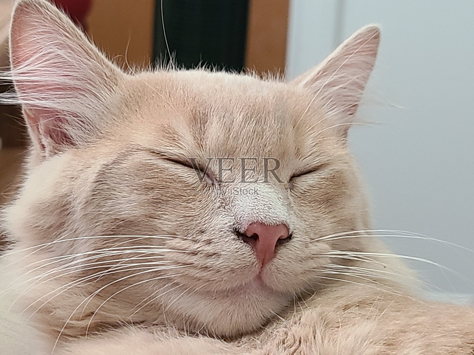 困了照片摄影图片