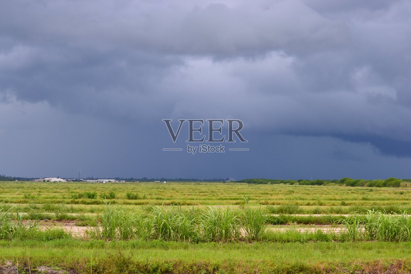 卷云照片摄影图片