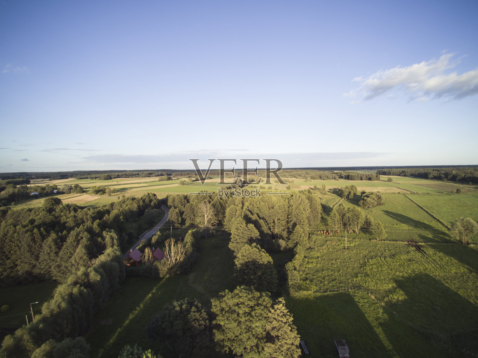 波兰的草地,高草,从上面看照片摄影图片