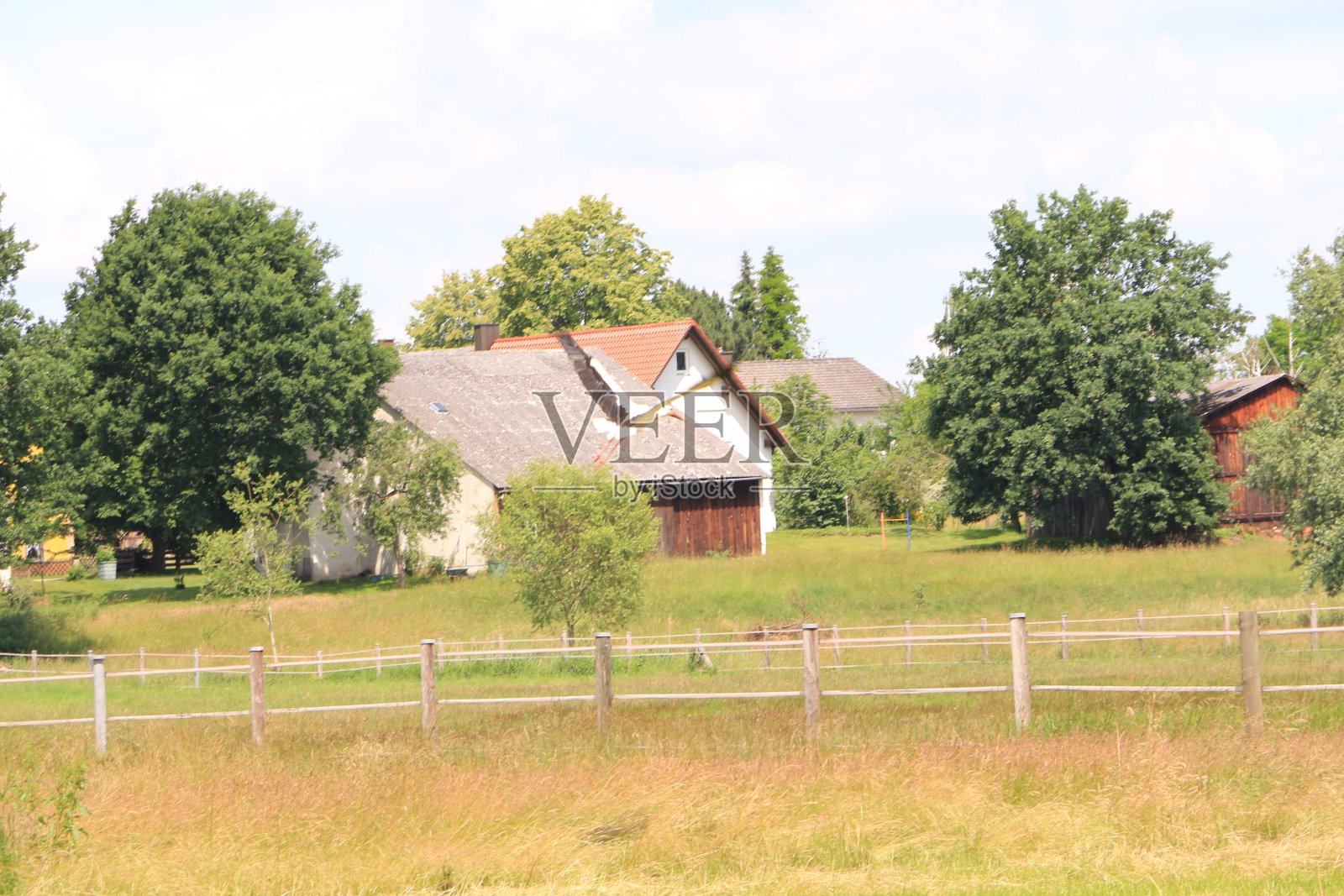 飞过绿色草地的鹳鸟照片摄影图片