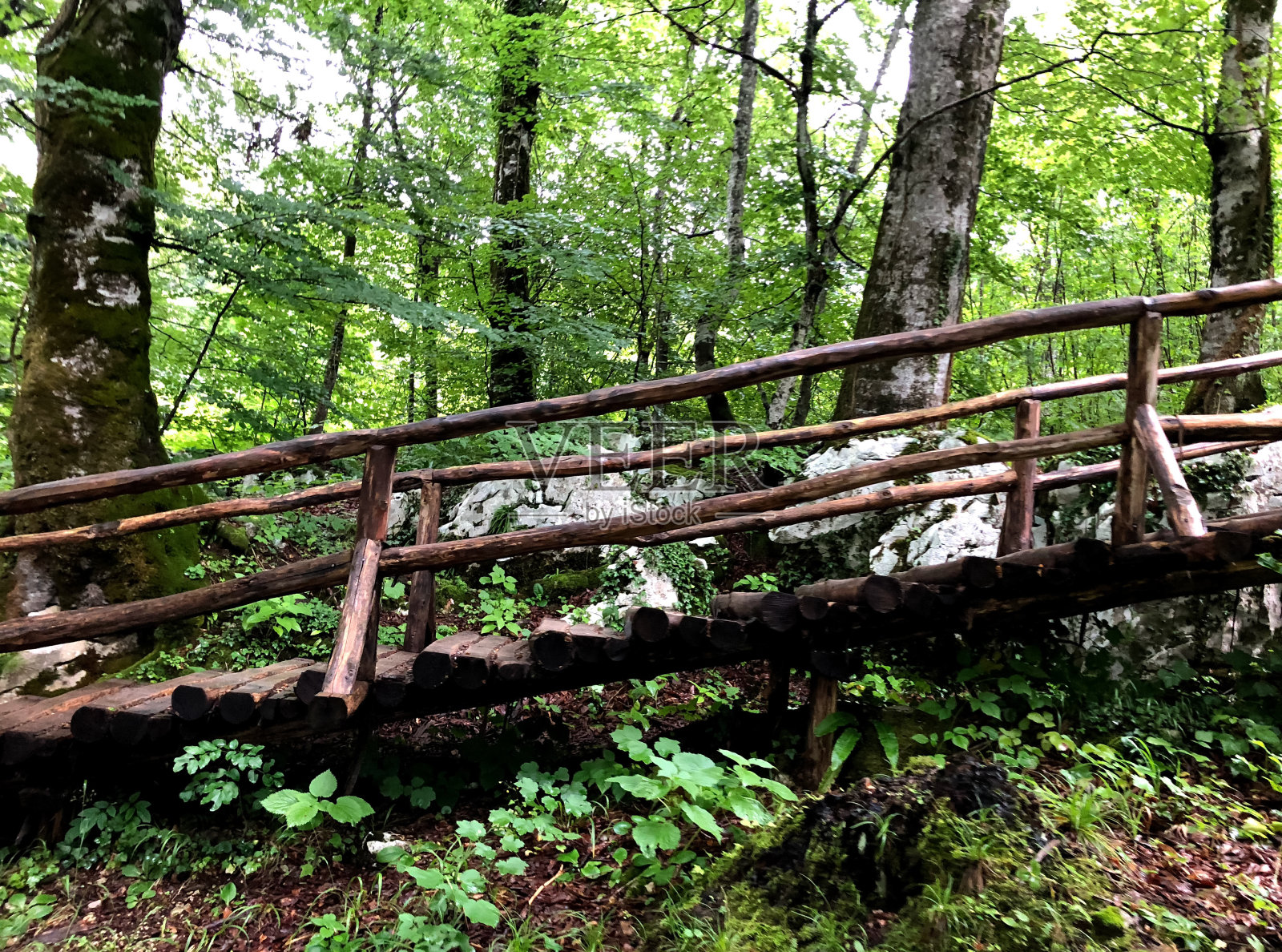 绿草如茵的木桥。照片摄影图片