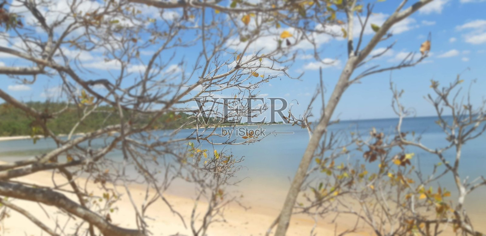 天然美女照片摄影图片