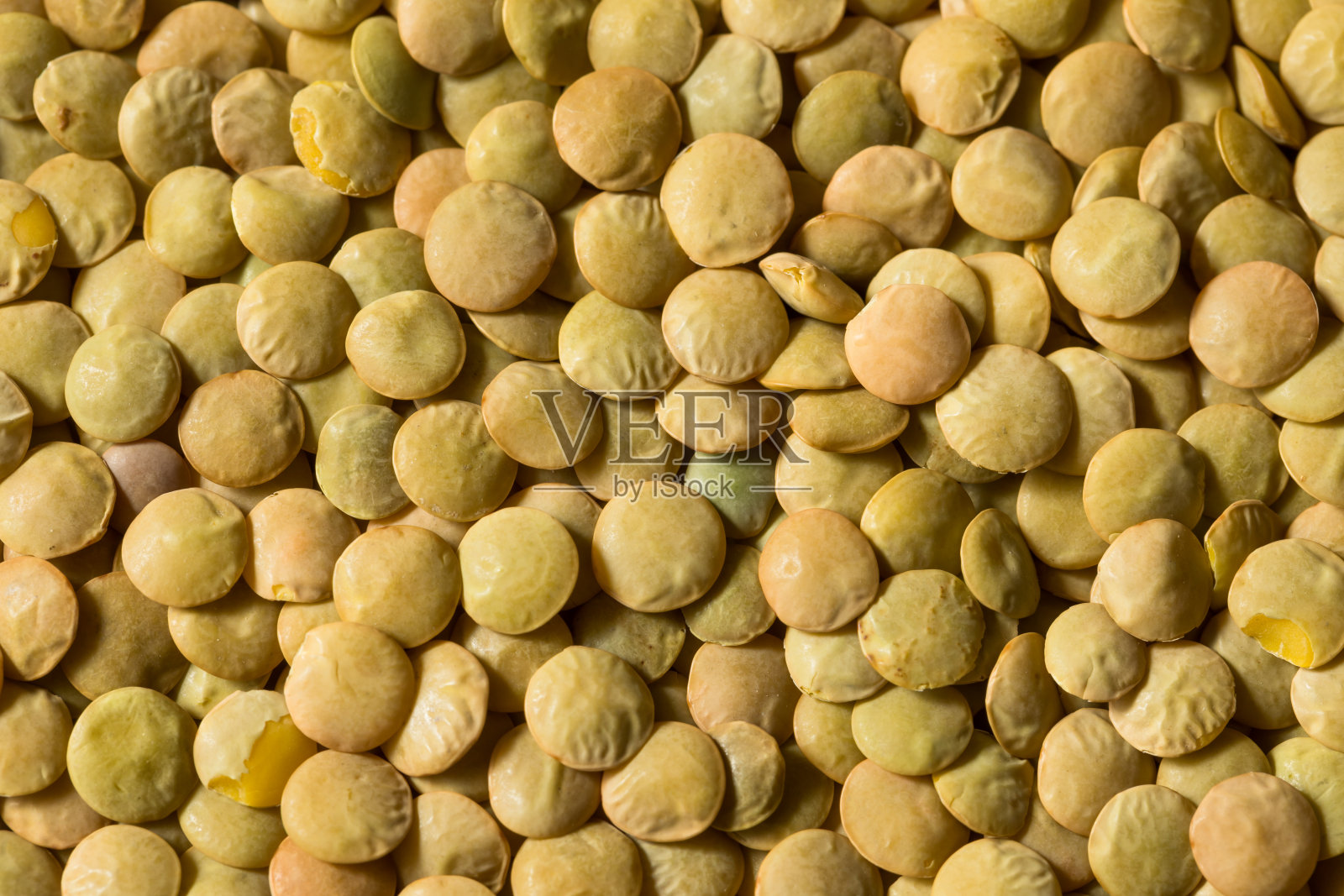 干绿色有机小扁豆照片摄影图片