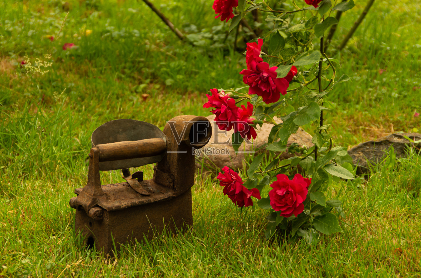 旧的复古棕色铁熨衣服,绿色的草照片摄影图片