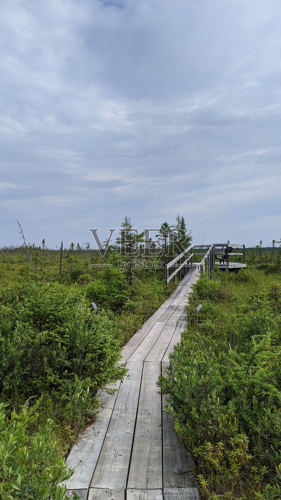 泰永角国家公园步道(ph4)照片摄影图片