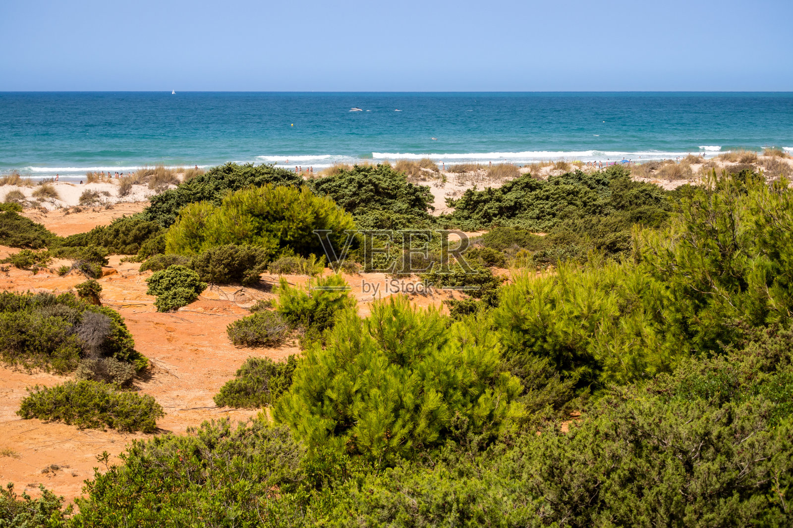 通往西班牙桑蒂佩特里的拉巴罗萨海滩的沙丘,Cádiz。照片摄影图片