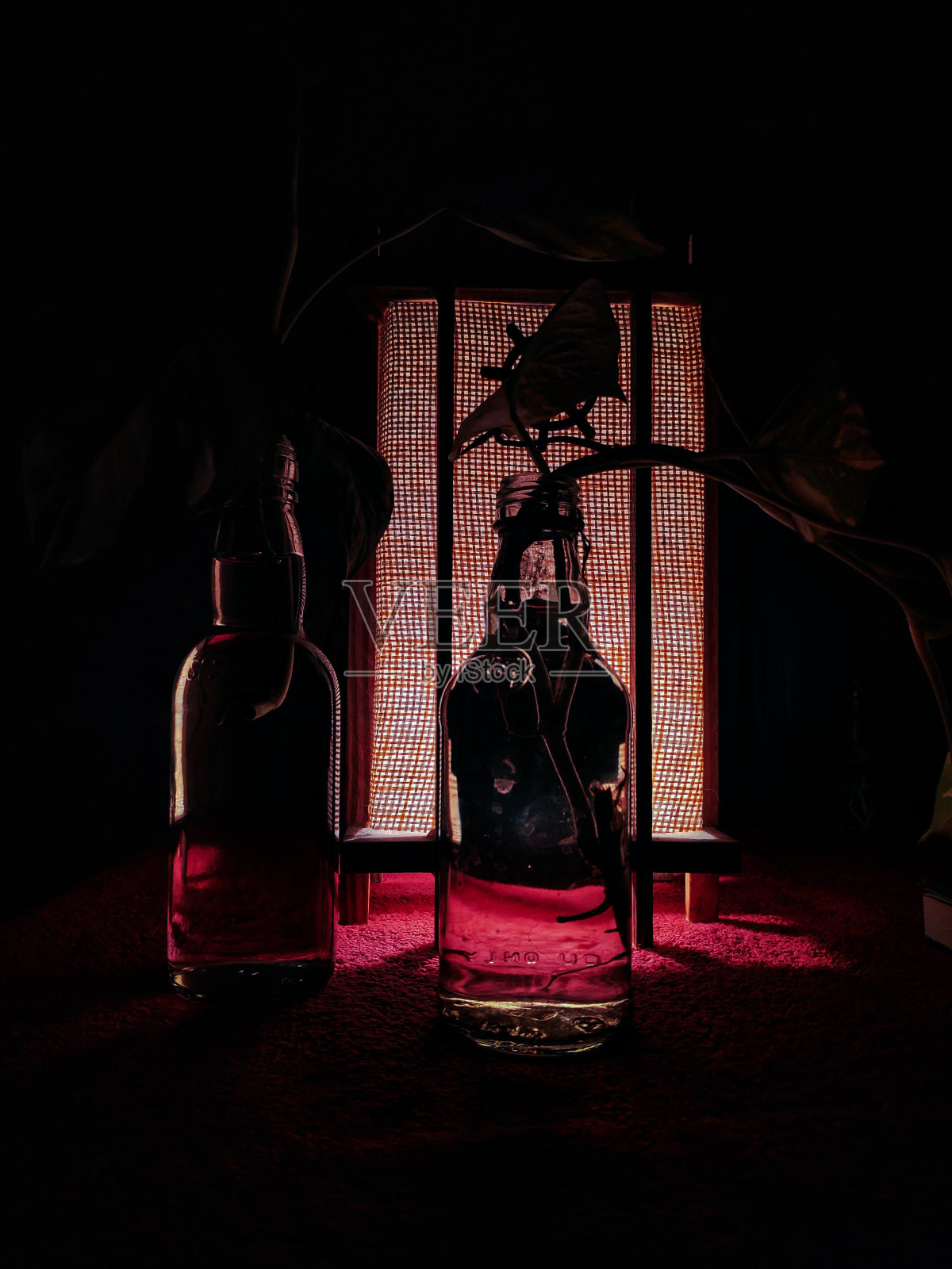 手工制作的夜灯,里面装着植物照片摄影图片