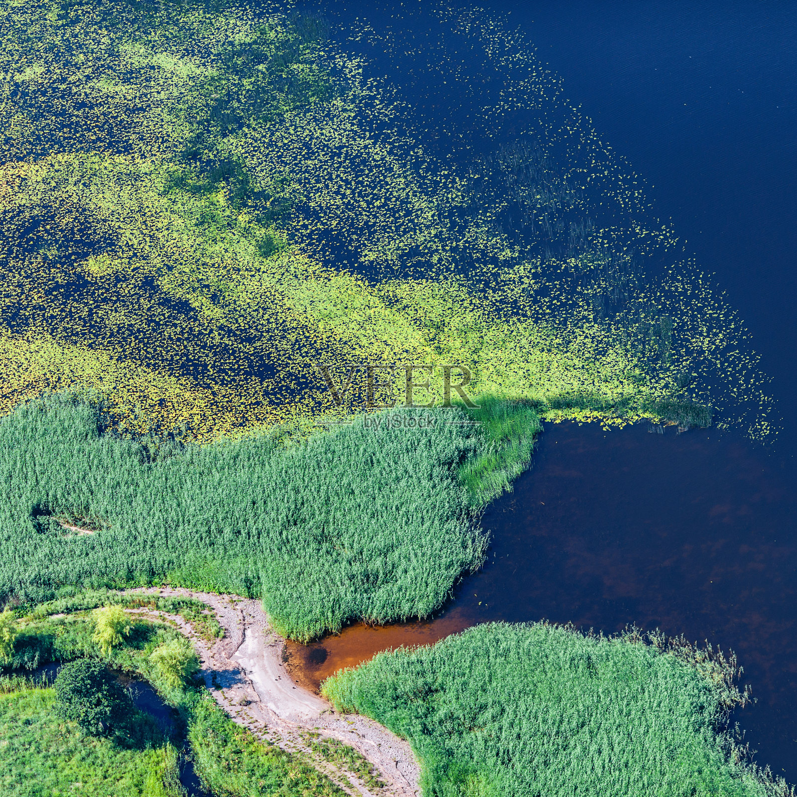 农村田野的鸟瞰图照片摄影图片