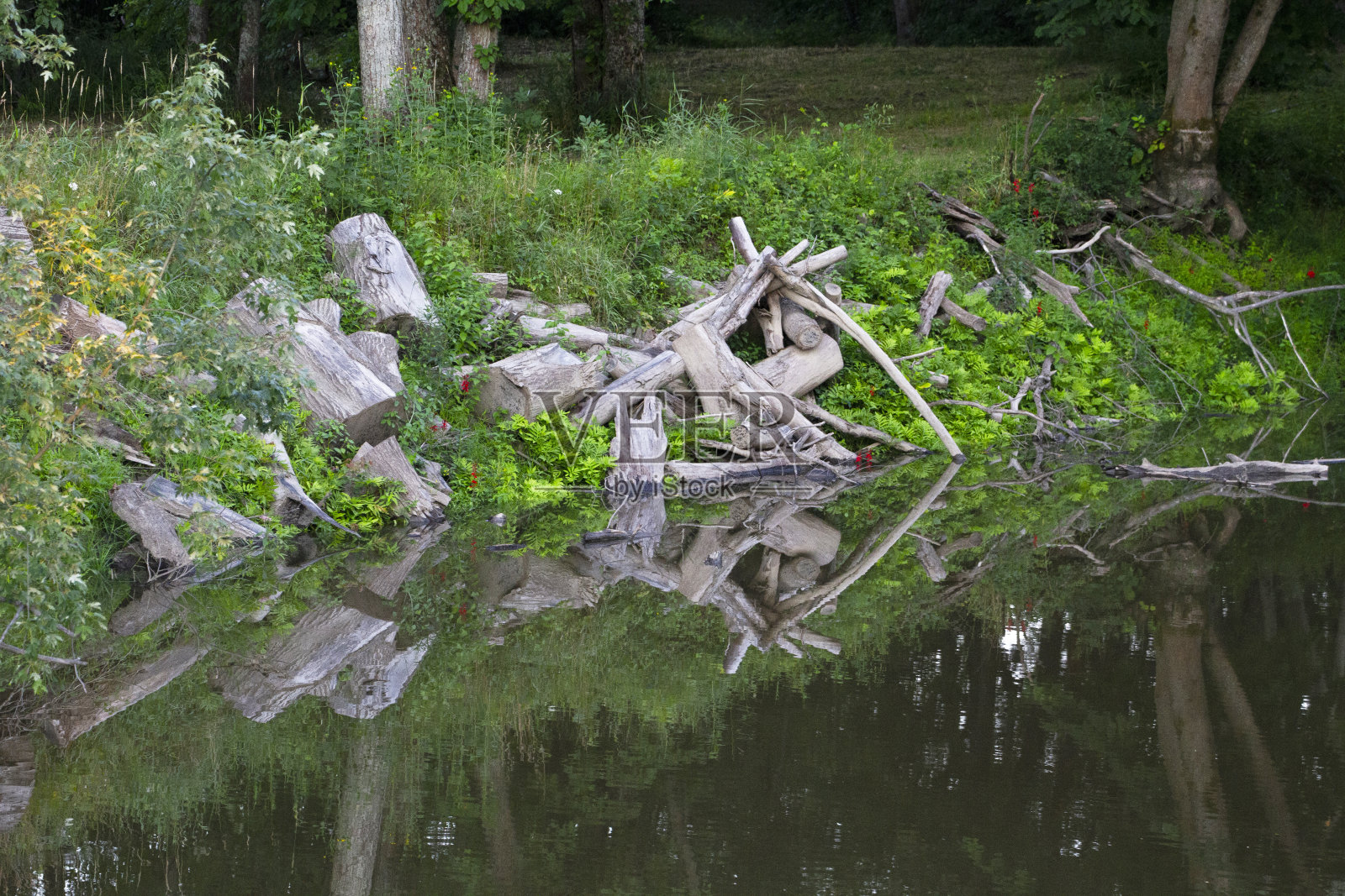 Streem河岸木片的倒影照片摄影图片