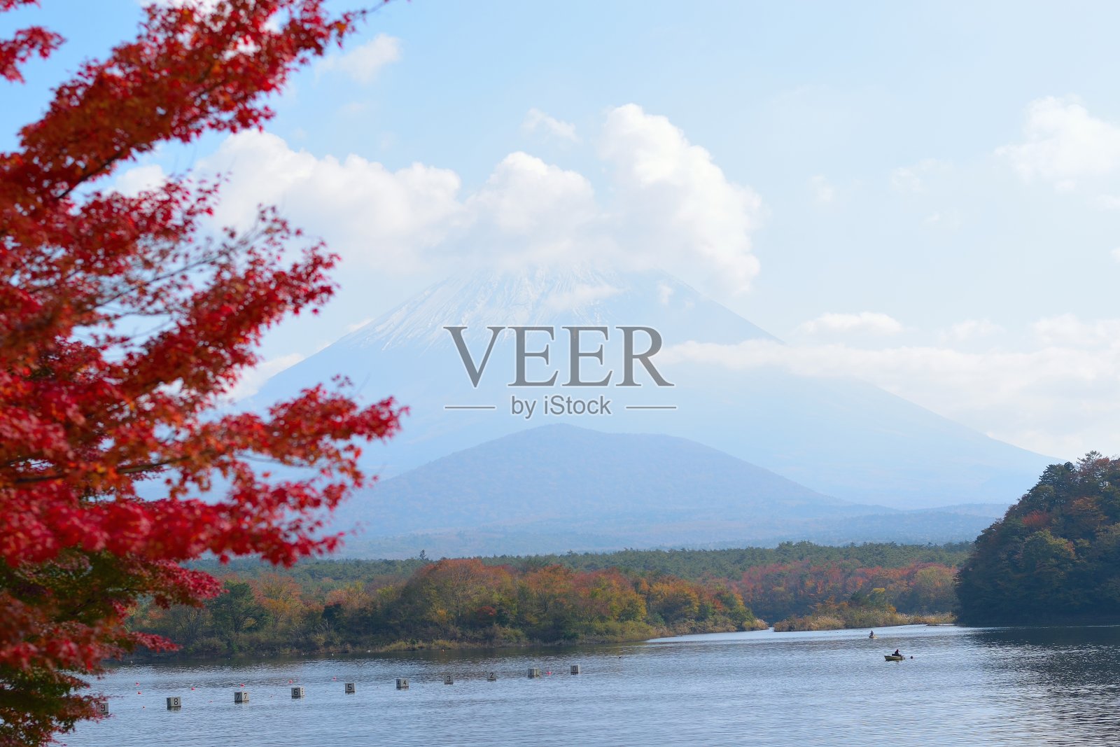 日本富士山的秋日枫树照片摄影图片