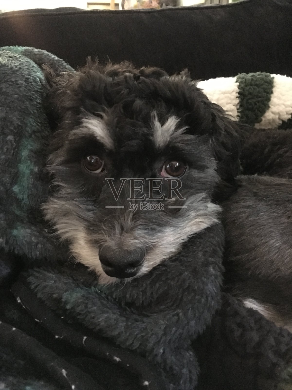 捆绑起来照片摄影图片