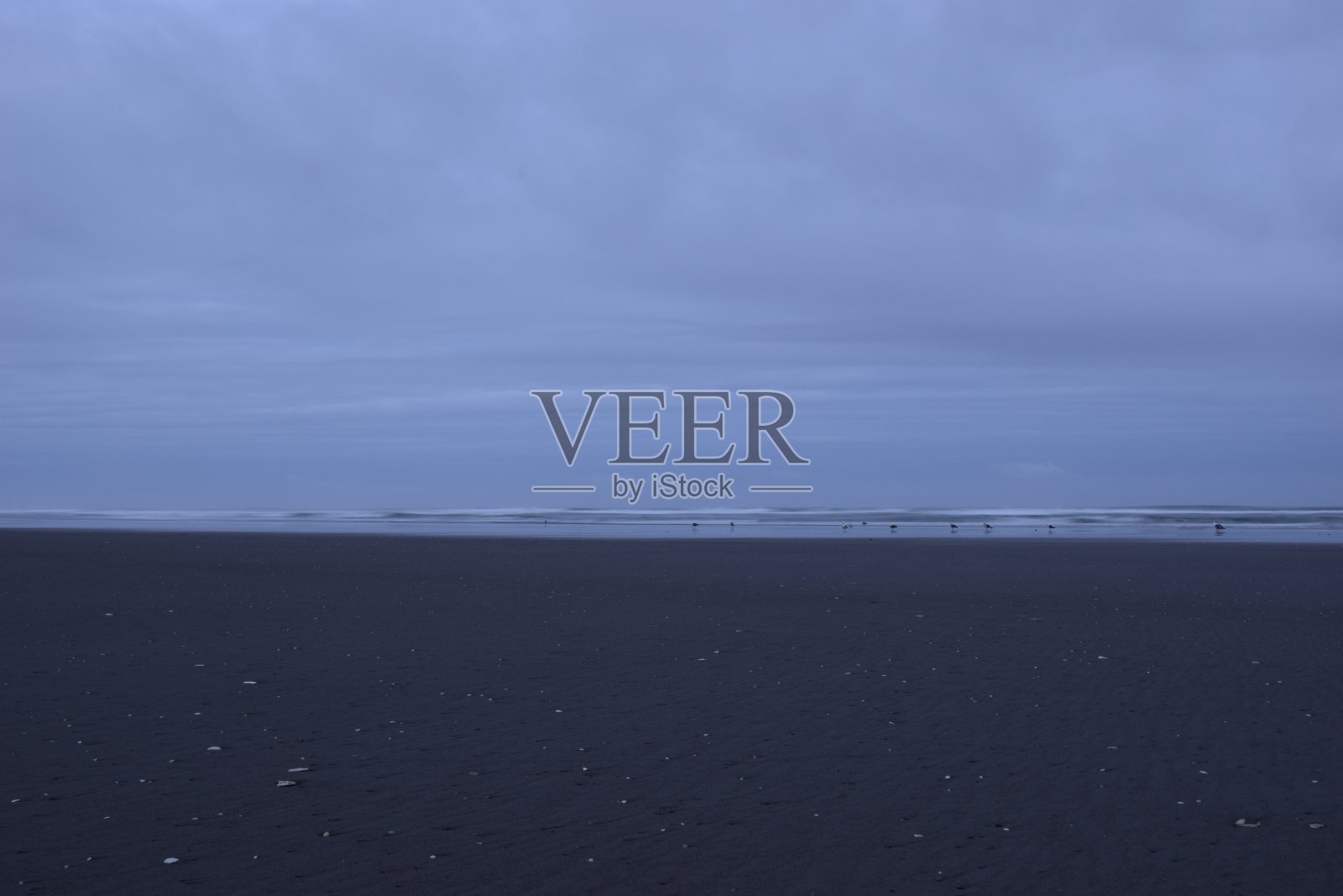 在多云的日出时,海滩上有海鸥照片摄影图片