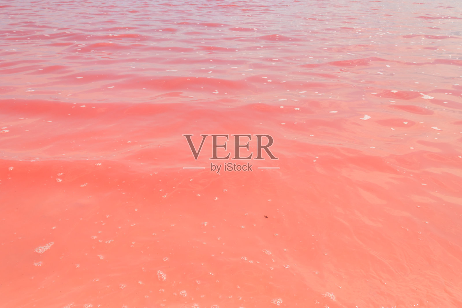 乌克兰赫尔森地区的粉红咸Syvash湖的表面。自然背景,纹理照片摄影图片