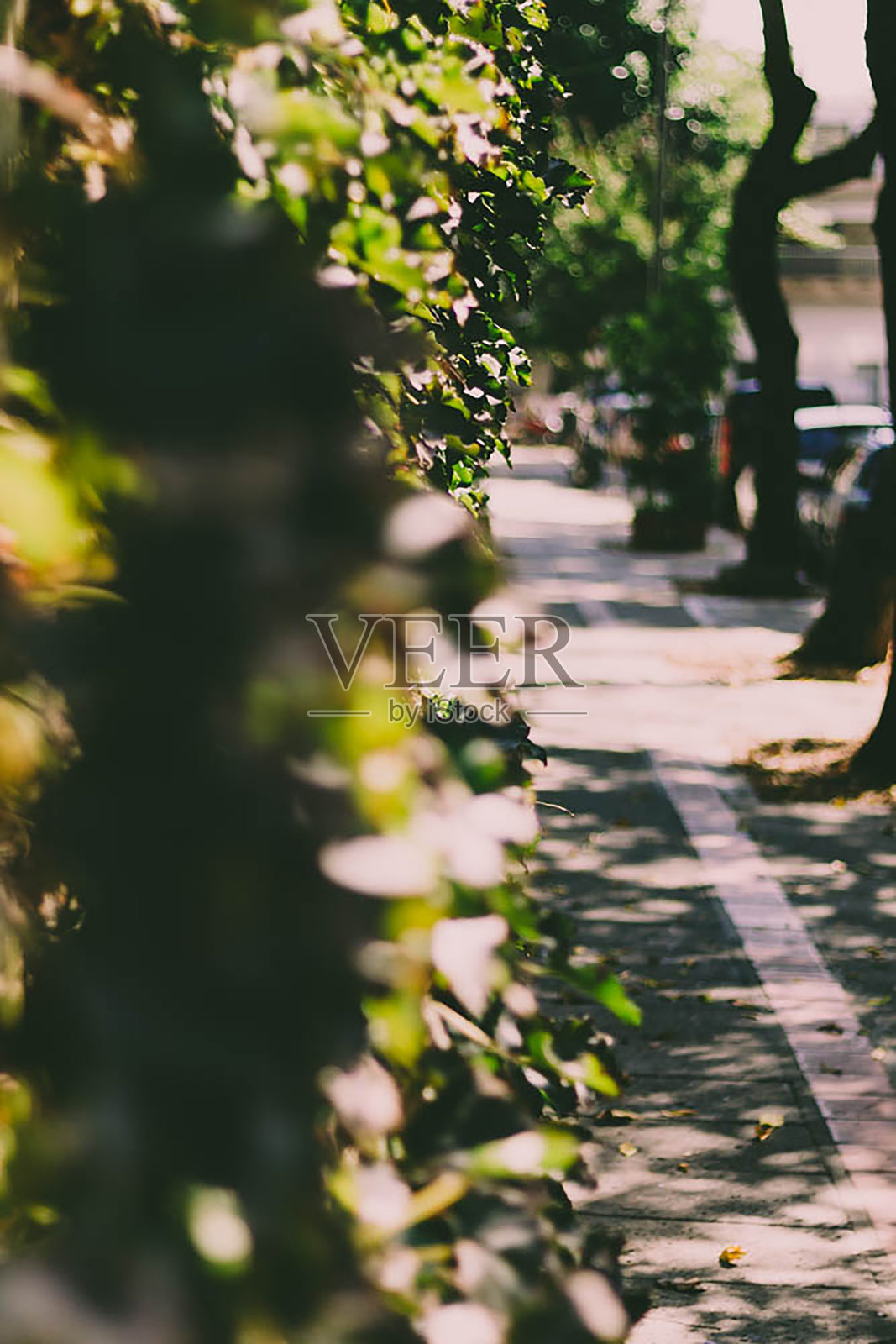 布宜诺斯艾利斯,银色女王照片摄影图片