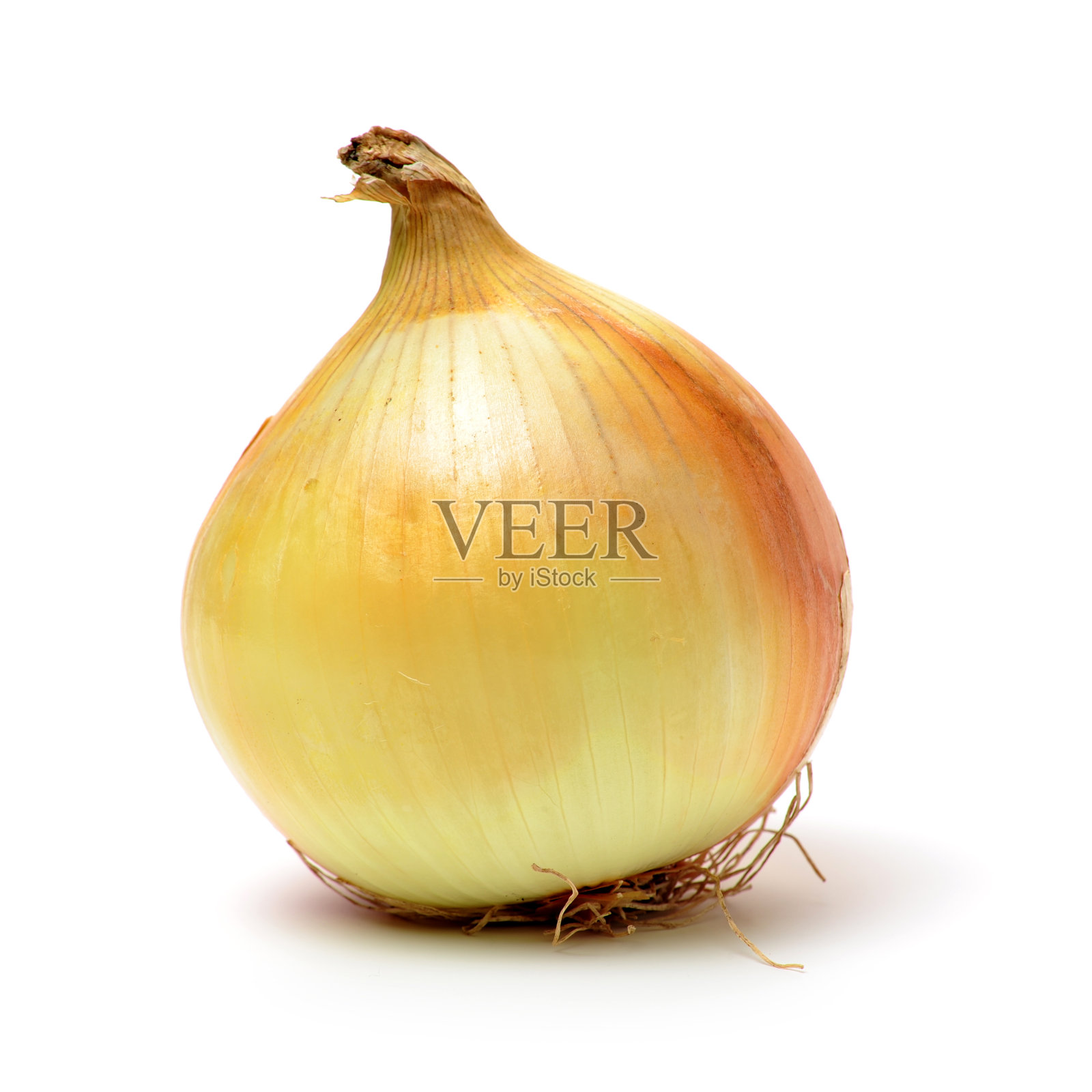 金葱蔬菜球根照片摄影图片