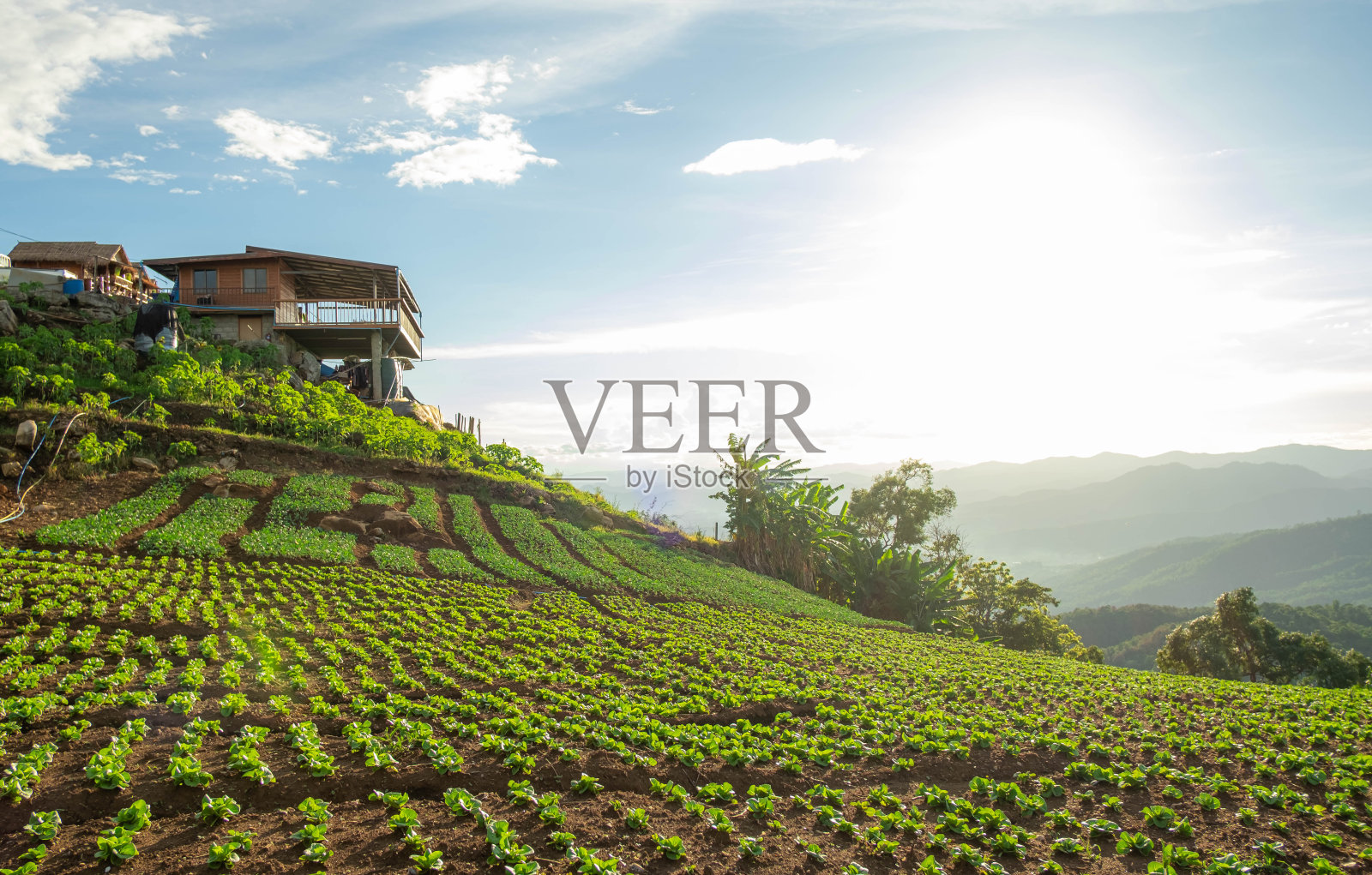 景观以森林和大山为自然背景照片摄影图片