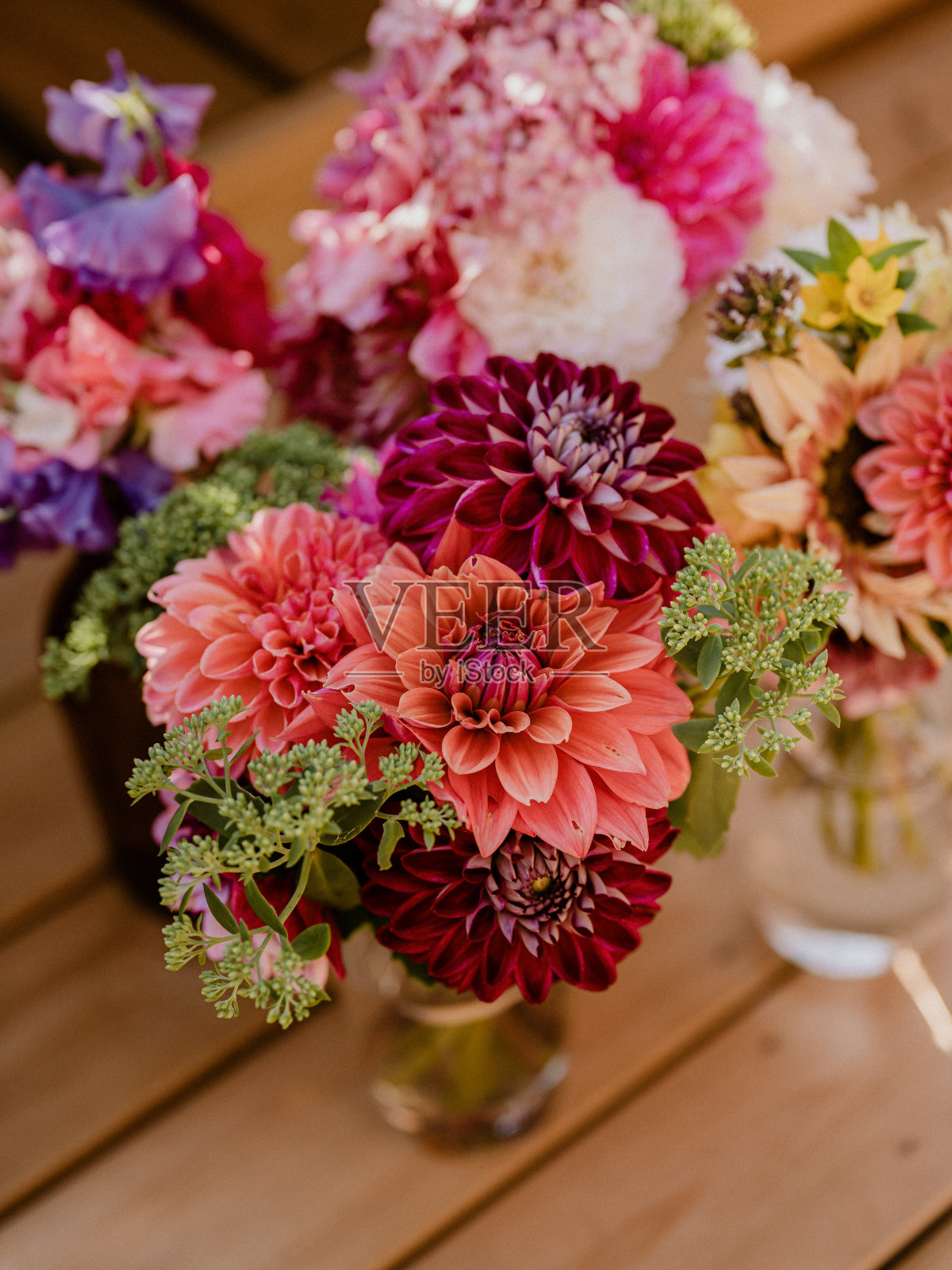 大丽花花束特写 在夏日阳光下照片摄影图片