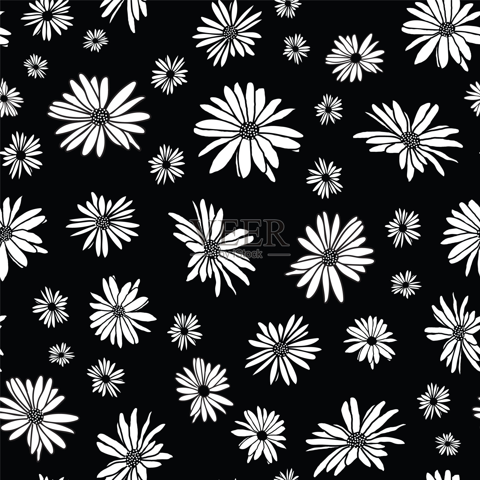 抽花手绘白洋甘菊花素描图无缝图案在黑色背景上设计插画图片素材