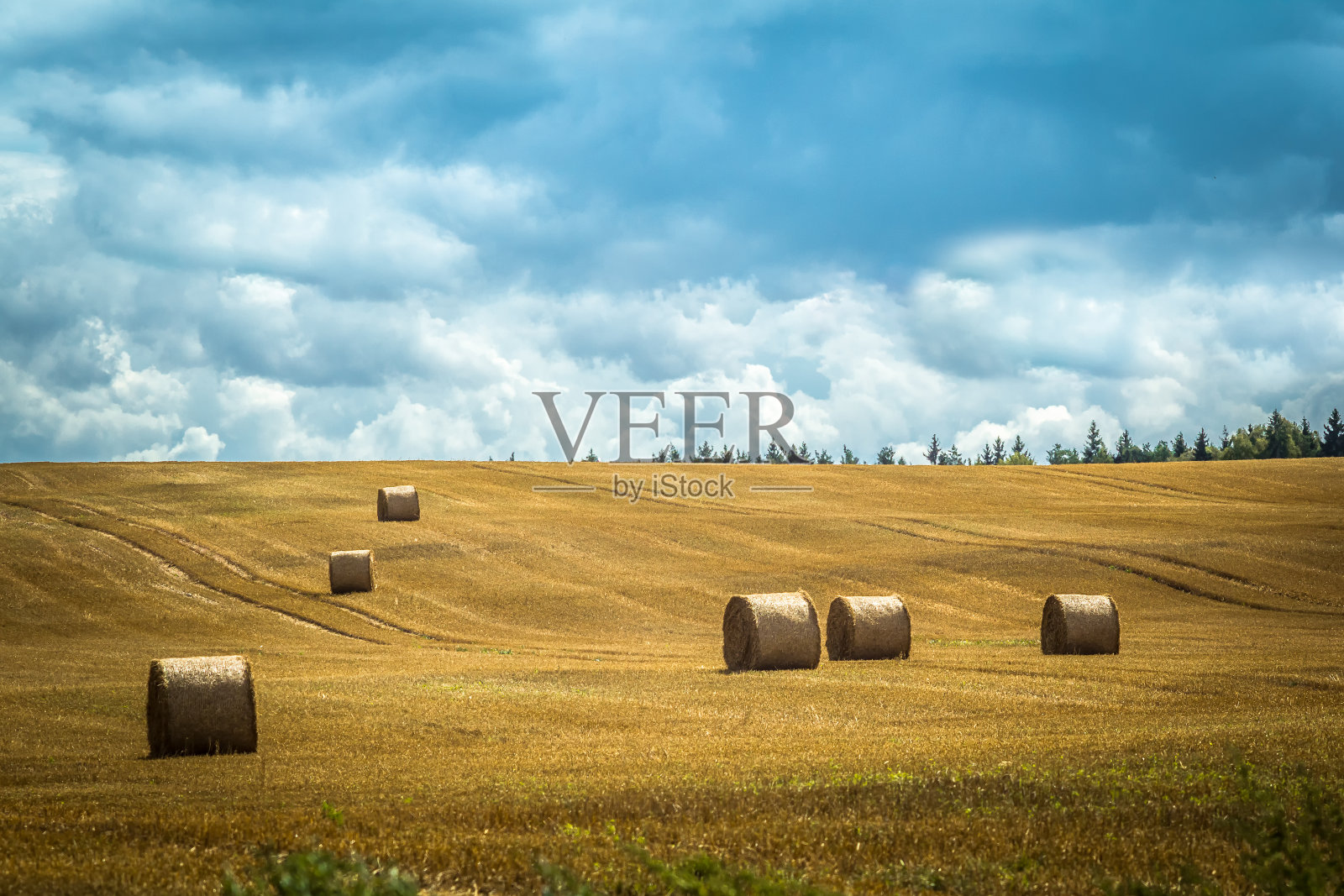 夏天,干草在村子里割过的田里滚动照片摄影图片