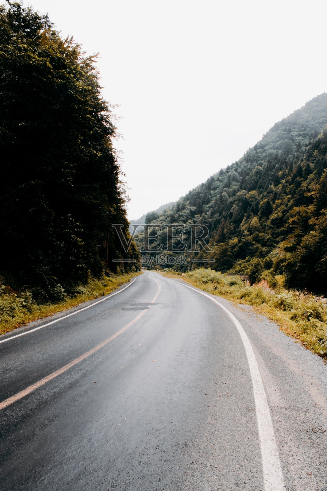 路照片摄影图片