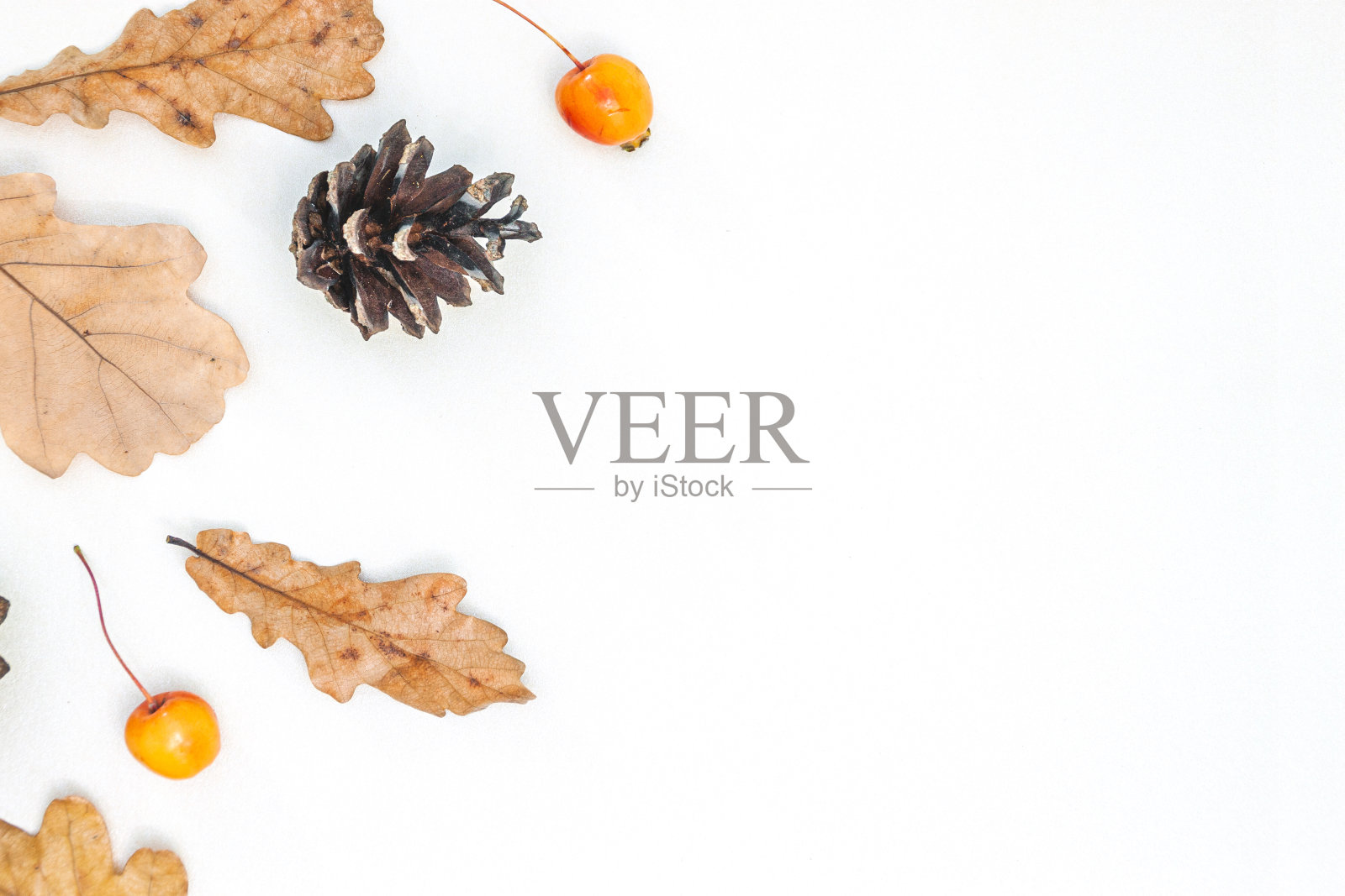 框架由秋叶,橡子,松果在白色的背景。照片摄影图片