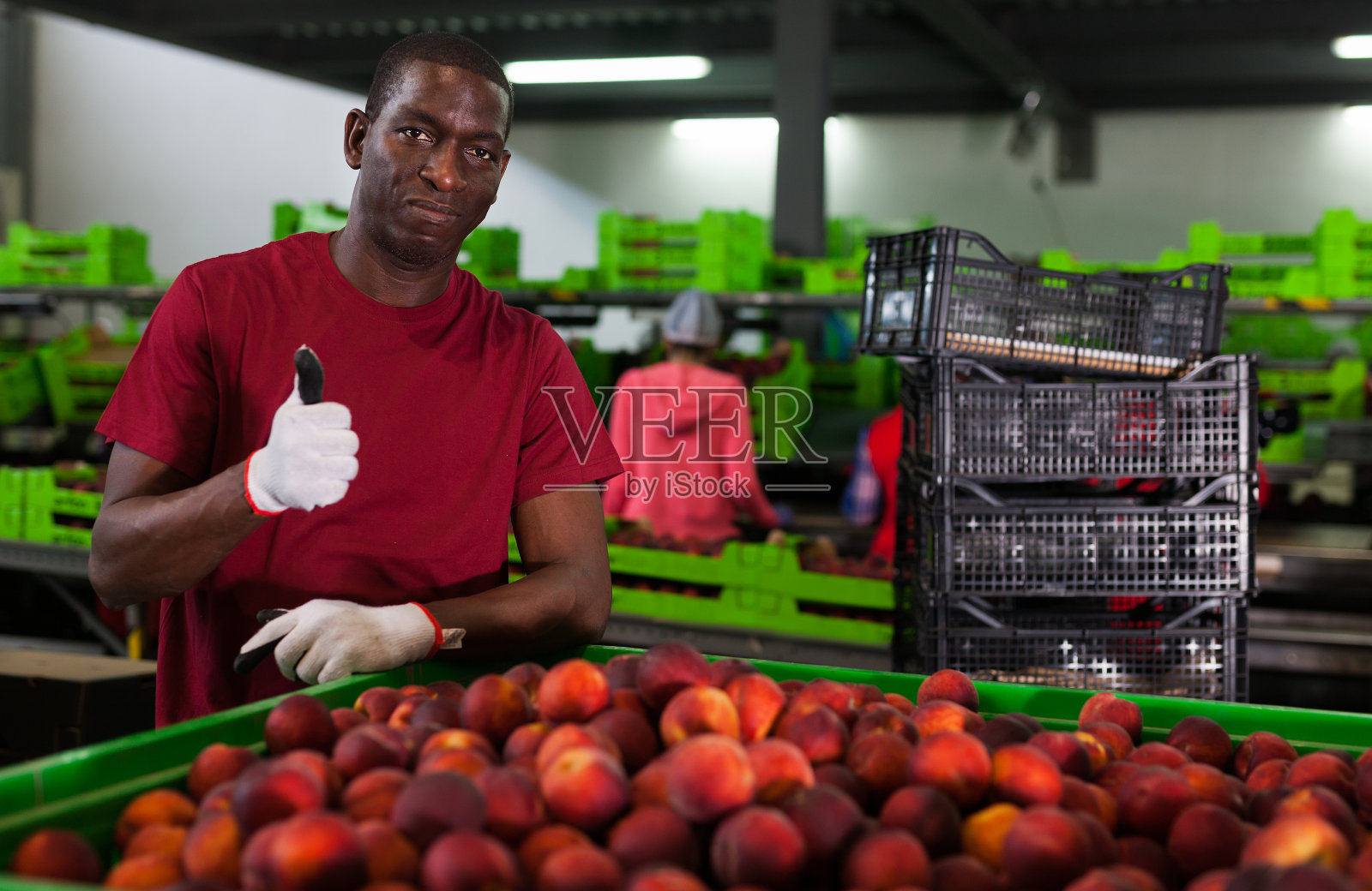 水果仓库的工人照片摄影图片