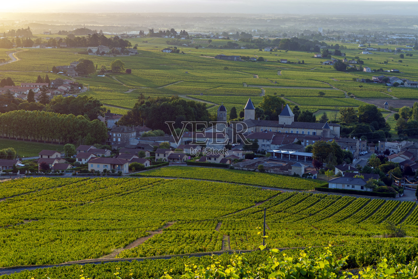 圣拉格尔村在博若莱葡萄园Rhône部门在法国照片摄影图片