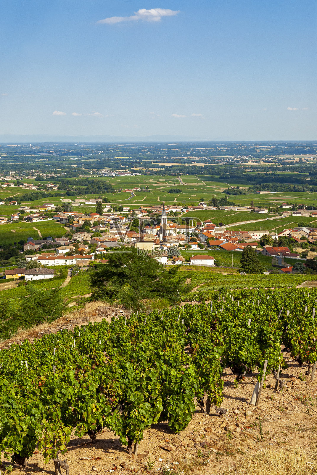 Beaujolais葡萄园周围的村庄Fleurie在Rhône部门在法国照片摄影图片