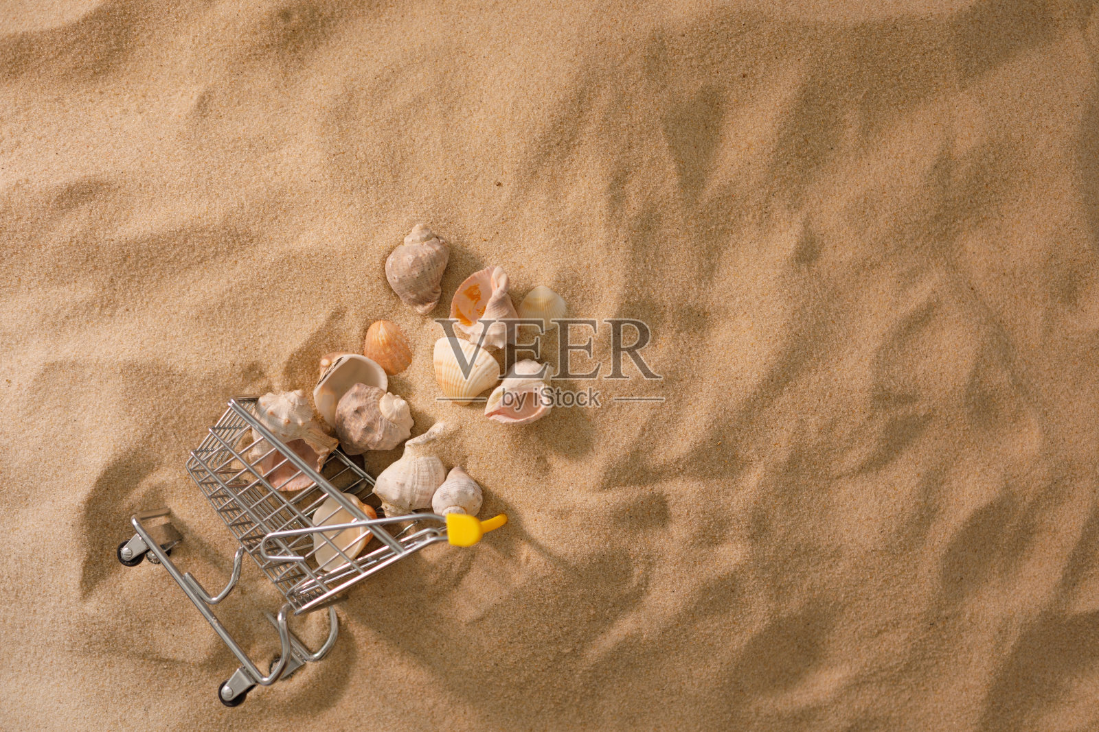 以贝壳为背景的海滩。休息的概念。快去买票。购物车。从以上观点。平的。照片摄影图片