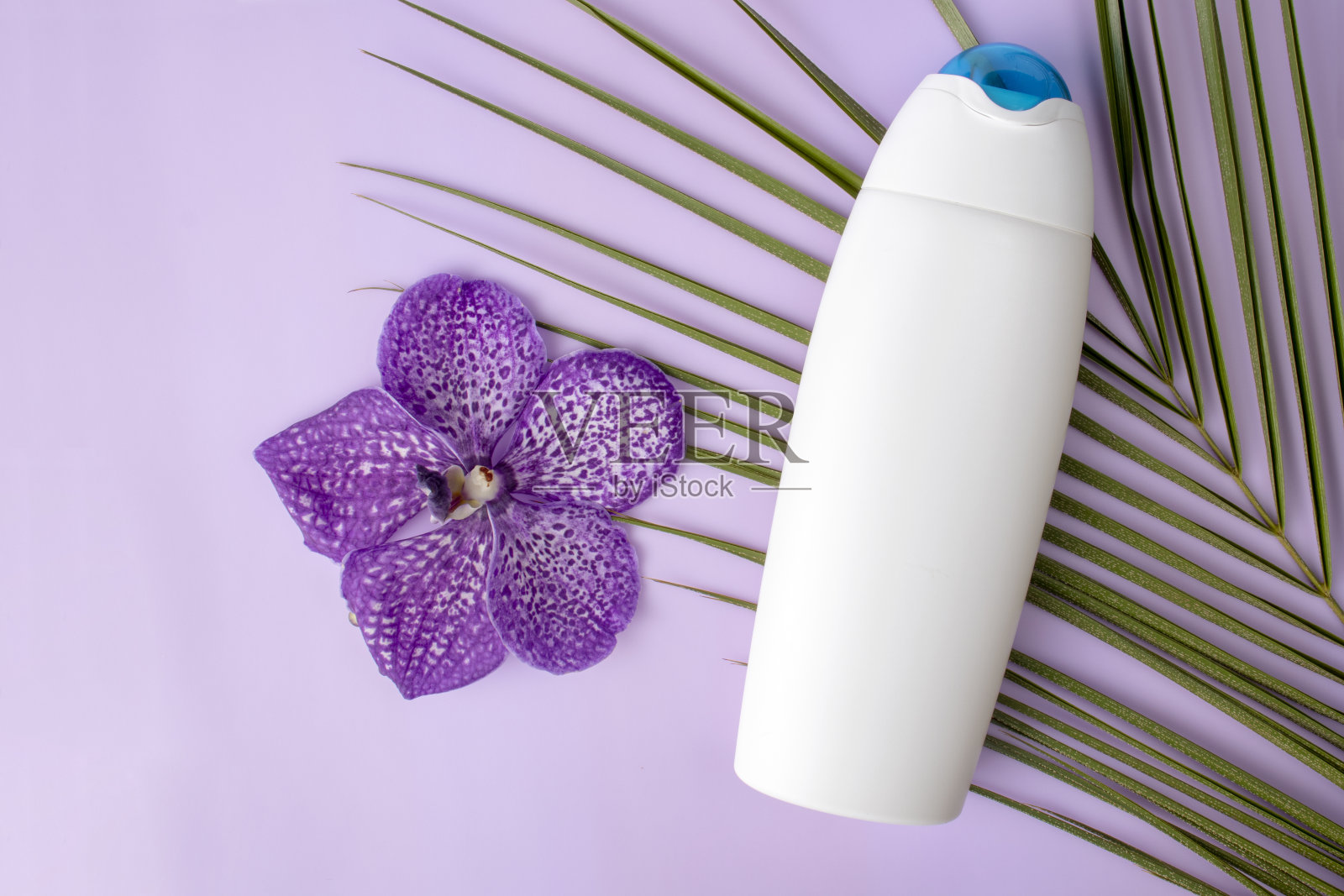 化妆品瓶容器与绿色草药叶子,空白标签的品牌模型,自然美容产品的概念。照片摄影图片