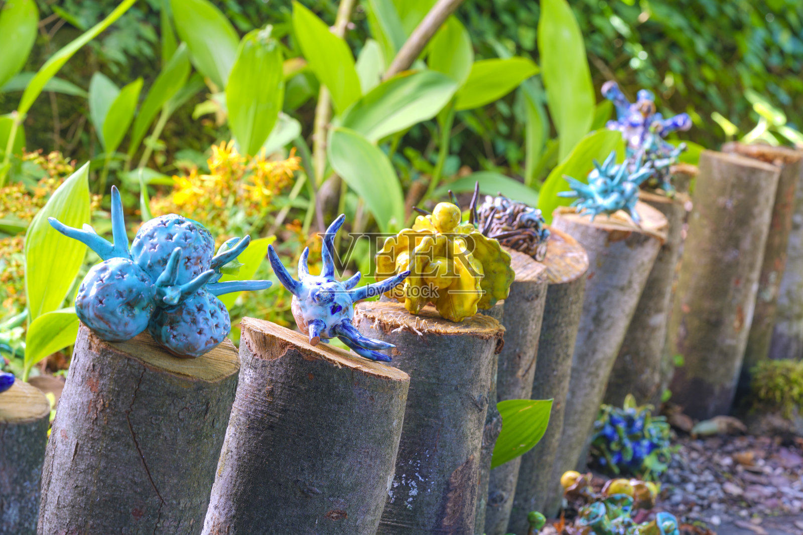 病毒攻击,穿过防线,这就是流行照片摄影图片