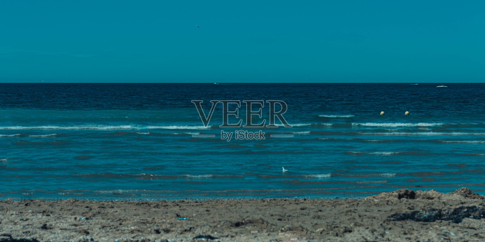 海照片摄影图片