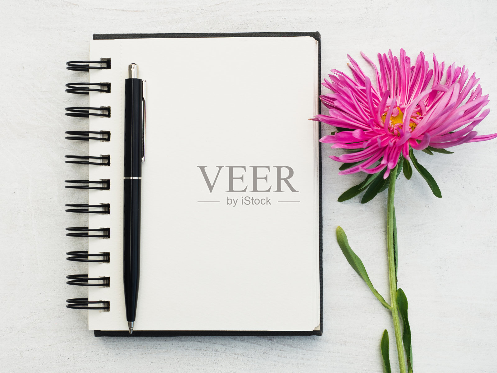 可爱,漂亮的巧克力色的小狗。特写镜头照片摄影图片