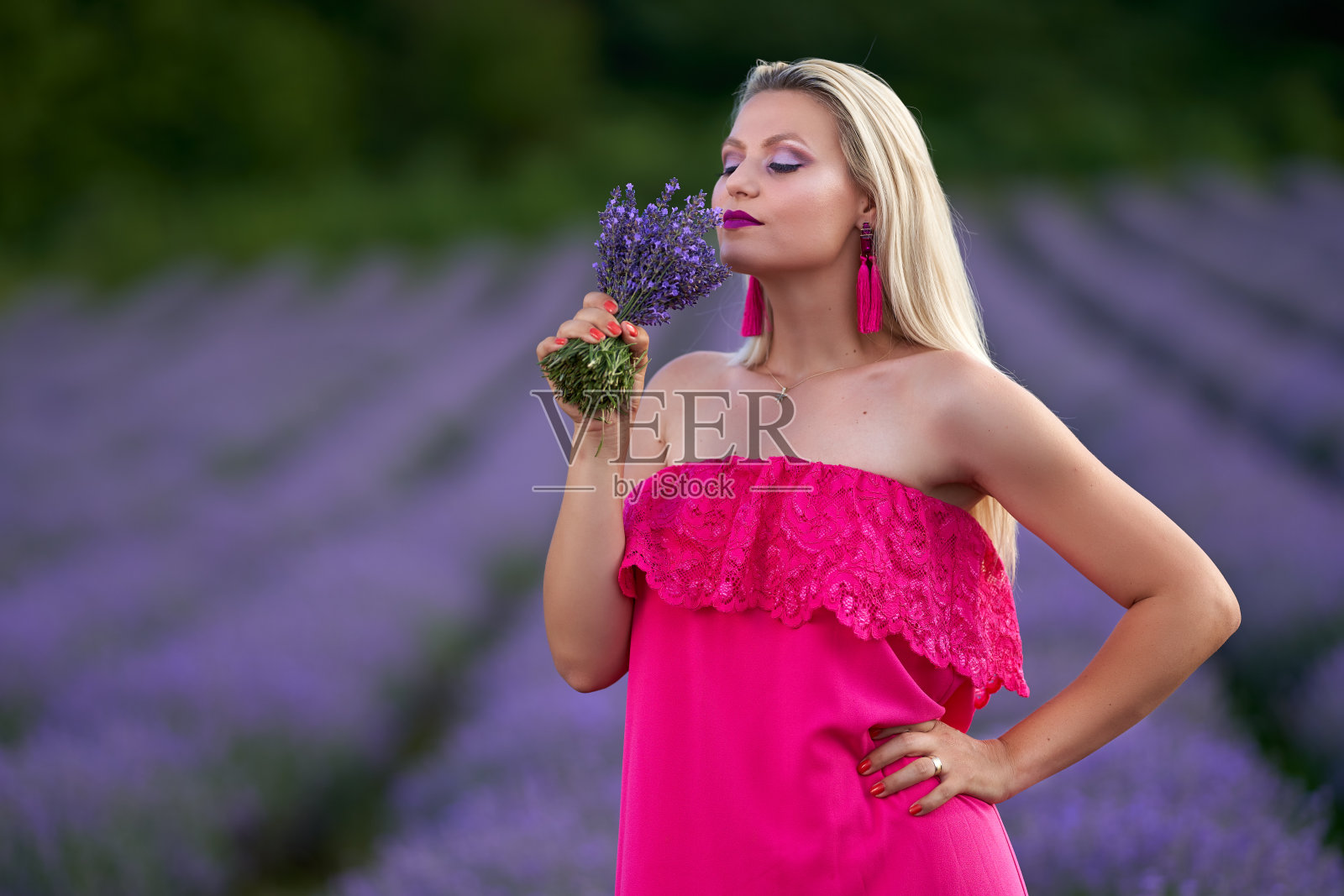 薰衣草地里的金发姑娘照片摄影图片