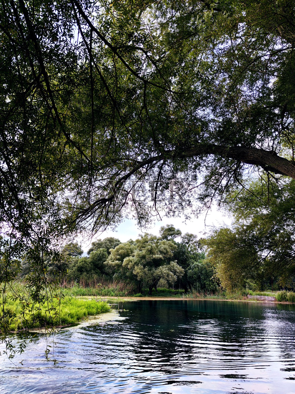 沙漠的池塘照片摄影图片